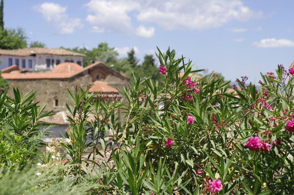 Terrace Houses Sirince Selçuk Cameră foto